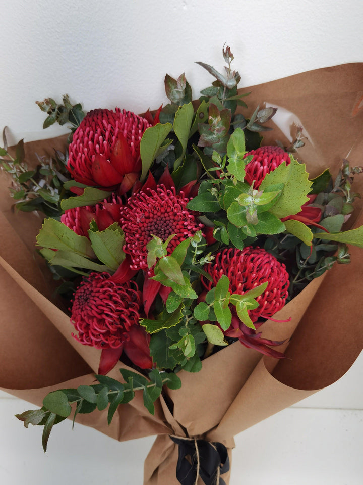 Waratah Bunch - Bloom Junction Florist