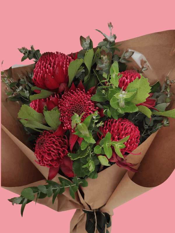 Waratah Bunch - Bloom Junction Florist